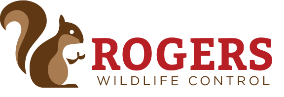 Rogers Wildlife Control